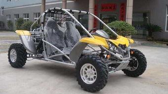 室内成人蹦蹦车视频播放,成人畅玩新体验