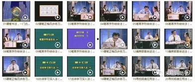 成人学练字教学视频教程,轻松掌握书法艺术的入门秘诀