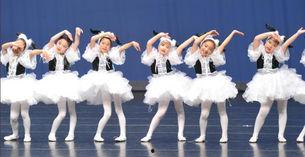 舞蹈服成人拉链视频,轻松掌握时尚舞动之美