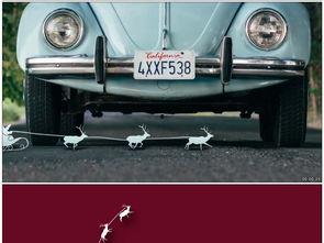 美国成人拉车视频大全