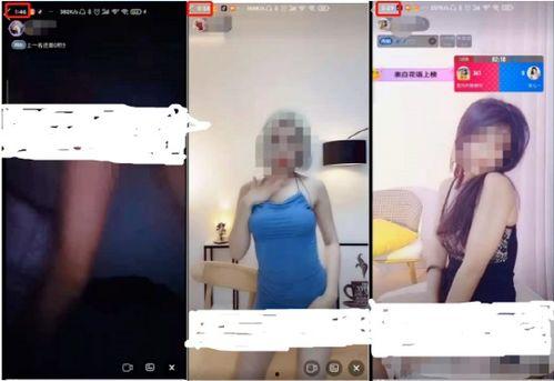 簧片成人版视频下载,深度解析视频下载全攻略