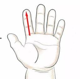 推拿成人脾胃手法视频,成人养生保健手法视频解析