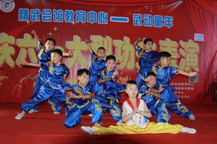 成人舞台节目武术视频大全,成人舞台武术节目视频集锦赏析