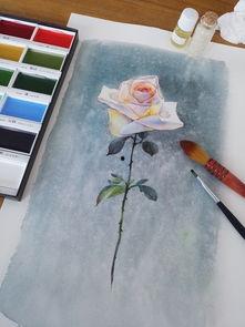 水彩成人课堂视频教程,轻松入门，解锁水彩绘画魅力