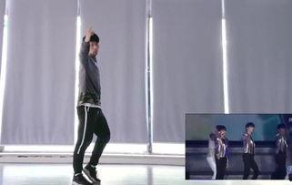 成人舞教课视频大全,全方位成人舞蹈教学视频精选集